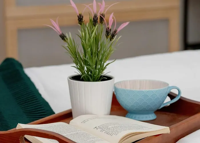 Kazimierza Wielkiego 2-bedroom With Parking By Renters * 克拉科夫